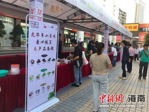 愛心匯聚明珠廣場，2018龍華羊山美味扶貧展銷情暖椰城